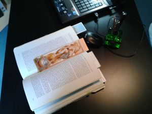 La lecture, meilleure thérapie