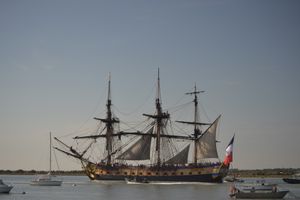 Qu'est-ce que le destin vous réserve en 2015 ?