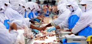 Le revenu de base : juste ? Injuste ?