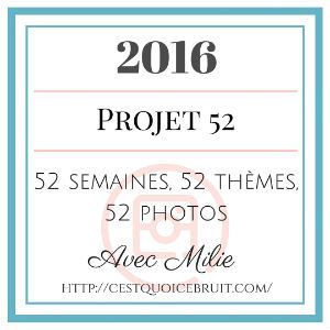 Projet 52 : qu'est ce que s'est ?
