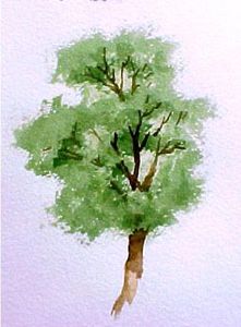 Trucs et astuces du web peinture à l'aquarelle