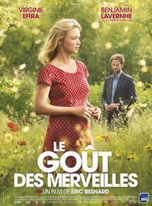 "Le Goût des Merveilles" d'Eric Bernard