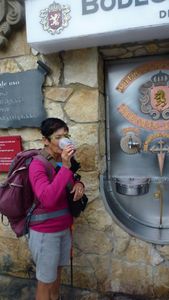 Mardi 1er Juillet: Estella/Torres Del Rio- 30 km