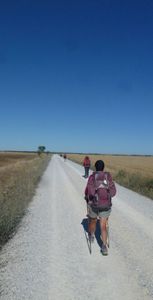 Vendredi 11 Juillet: Carrion de los Condes/Terradillos de Templarios - 28 km