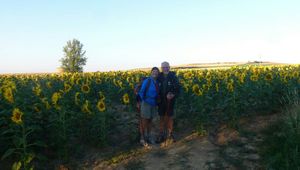 Samedi 12 Juillet: Terradillos/Bercianos del real camino - 24 km