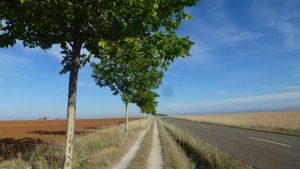 Dimanche 13 Juillet: Bercianos/Mansilla de las mulas- 27 km