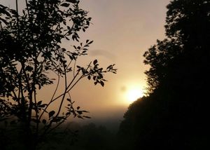 Mardi 22 Juillet: Triacastela/Barbadelo - 24 km