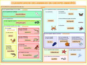 La NOUVELLE classification des animaux