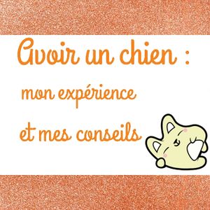 Avoir un chien : mon expérience et mes conseils