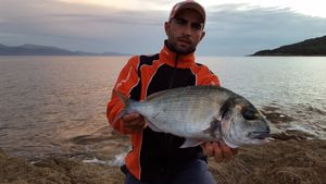 Surfcasting the Big One!!! Pêche XXL en méditerranée...