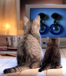e-boutic : cliquez sur la photo