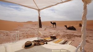 Bonnes fêtes de fin d'année