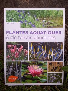 Votre jardin aquatique sur RMC