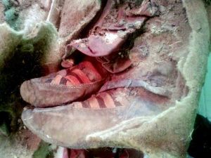 Portait-on des baskets il y a 1 000 ans ?