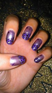 Violet sauvage