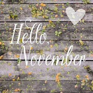 ANNALES AKASHIQUES NOVEMBRE 2015
