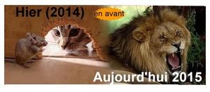 loin de la majorité