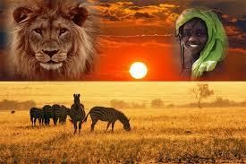 Ahhh ! L'Afrique...