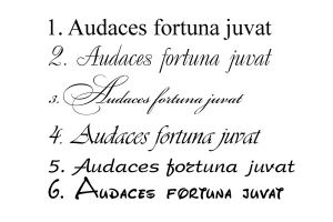Audaces fortuna juvat