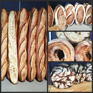 Tartine au poulet et mozzarella
