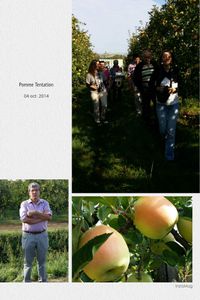 Découverte de la Pomme Tentation