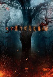 Hysteresis, Loïc Le Borgne (2014)