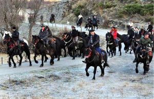 Des Racines et des ailes: Du Languedoc au Roussillon