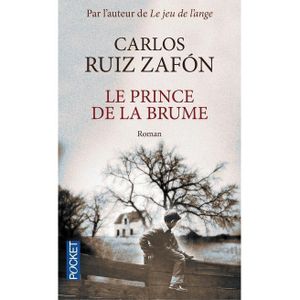 Roman: Le prince de la brume