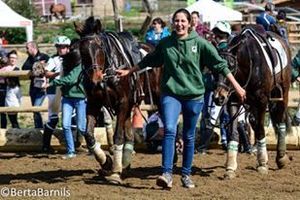Horse ball : les 8 équipes de l'AEF