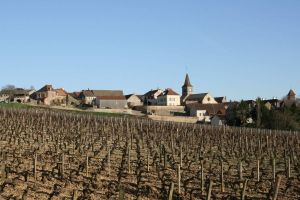 Quels sont vos dons? Vos talents? Quel est votre "truc"?