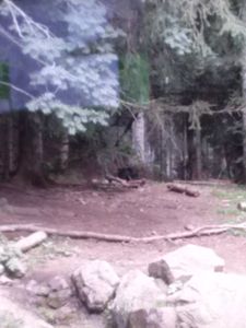 Parc Alpha Loup