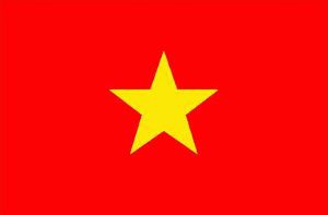 Célébration des 65 ans des relations Vietnam-Russie