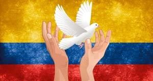 Iván Cepeda : L'action des paramilitaires à la frontière colombienne ne peut pas être occultée