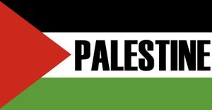 Déclaration du Palestine Youth Orchestra et du Conservatoire National de Musique Edward Saïd (Palestine)