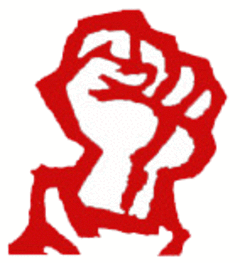 SUCCÈS DES MANIFESTATIONS CONTRE LA LOI EL KHOMRI À LA RÉUNION