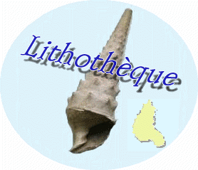 Lithothèque Champagne-Ardenne - Classe de terrain