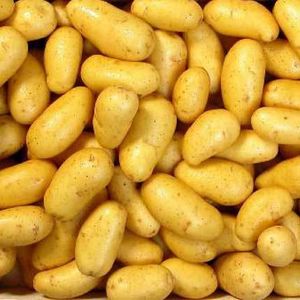 Opération Pomme de terre