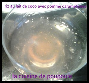 Riz au lait de coco avec pommes caramélisées au thermomix