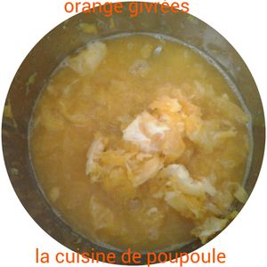 Oranges givrées au thermomix