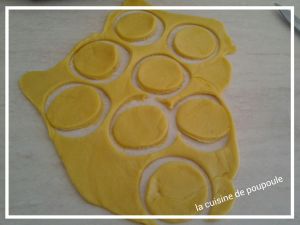 Brioches Celtes au thermomi ou sans