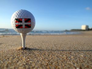 Stage chez Golfbird au Pays Basque (64)