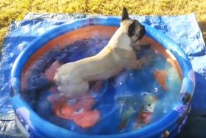 Louna se baigne dans sa piscine