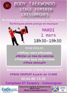 Stage féminin gratuit de body taekwondo