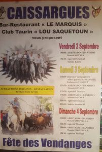 Fête des vendanges du Mirman