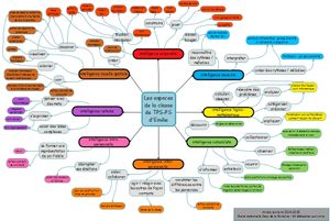 les espaces consacrés aux intelligences multiples