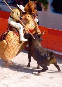Pour la corrida, est-ce la fin de l'histoire ?