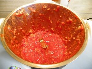 CARI CAMARONS (thermomix)
