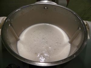 YAOURT A BOIRE A LA VANILLE A LA MULTIDELICE (thermomix)