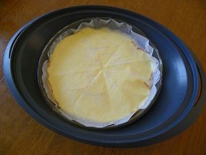GATEAU MOELLEUX AUX PRUNES (thermomix)