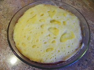 GATEAU MOELLEUX AUX PRUNES (thermomix)
